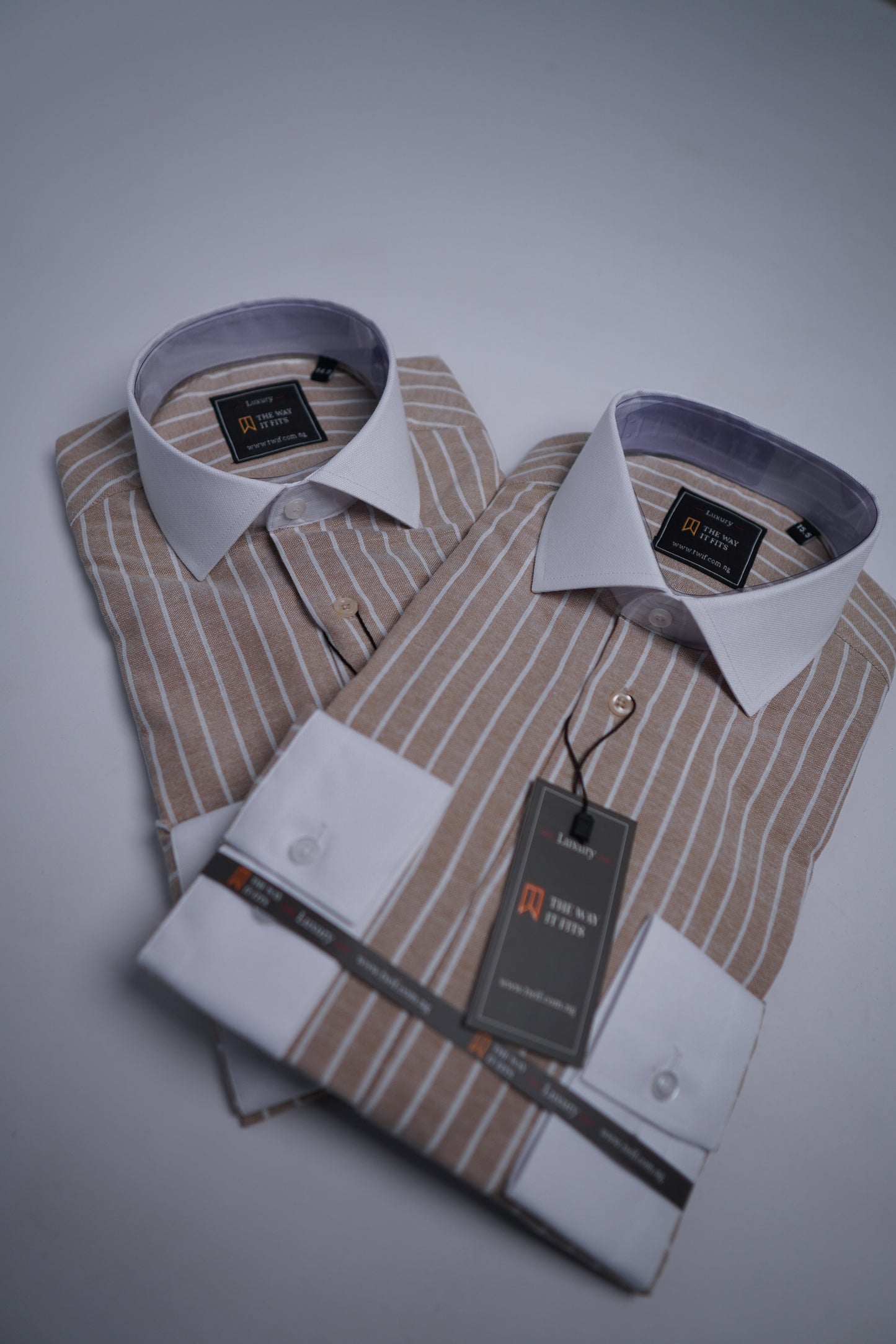 Brown Stripe with White Collar